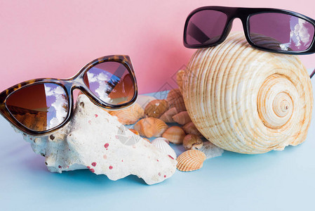 大贝壳和浅蓝色和粉红色背景上的几个较小贝壳上的两个女士和男士太阳镜图片