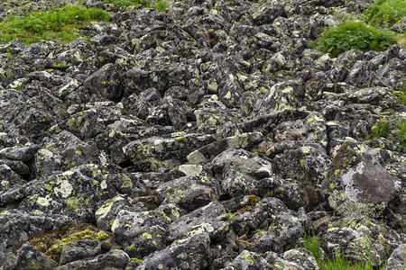 岩石巨田所谓的石流或石河是高原的典型景观之一图片