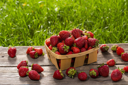 花园的新鲜草莓装在塑图片