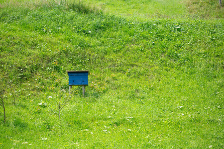 绿色斜坡上的一个蓝色木制蜂箱图片