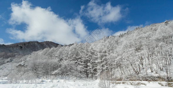 日本中部有山林风景的冬季寒图片