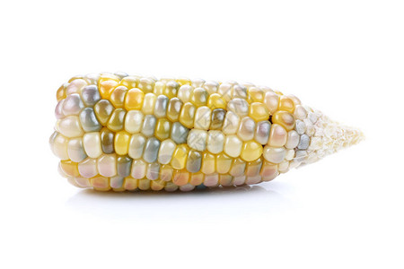 白色背景上的玉米背景图片