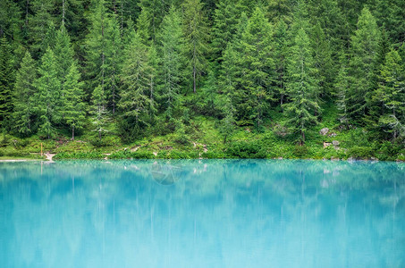 意大利白云岩apls的森林和绿松石湖意大利的索拉皮斯湖夏图片