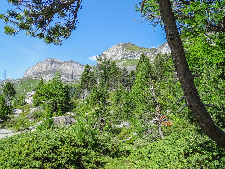 穿越瑞士欧洲Gemmi山口的高山路线上惊图片