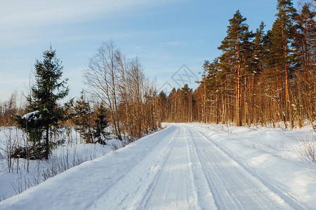 芬兰阳光明媚的冬季图片