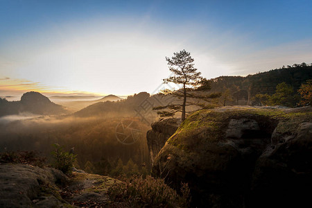 台地县德国撒克逊瑞士公园台地山顶的史诗日出光有光和雾的山脉在易北河砂岩山脉美妙的山脉背景