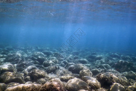 海洋生物水下岩石阳光水下生物图片