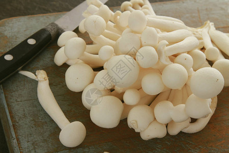 桌子上的shimeji蘑菇图片