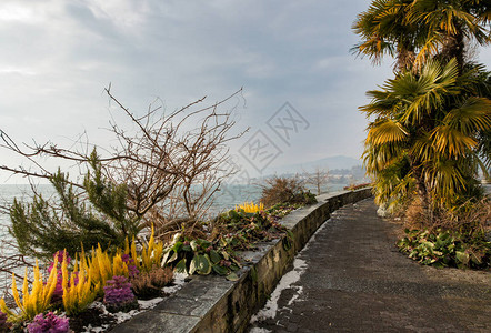 欧洲城市的建筑和景观图片