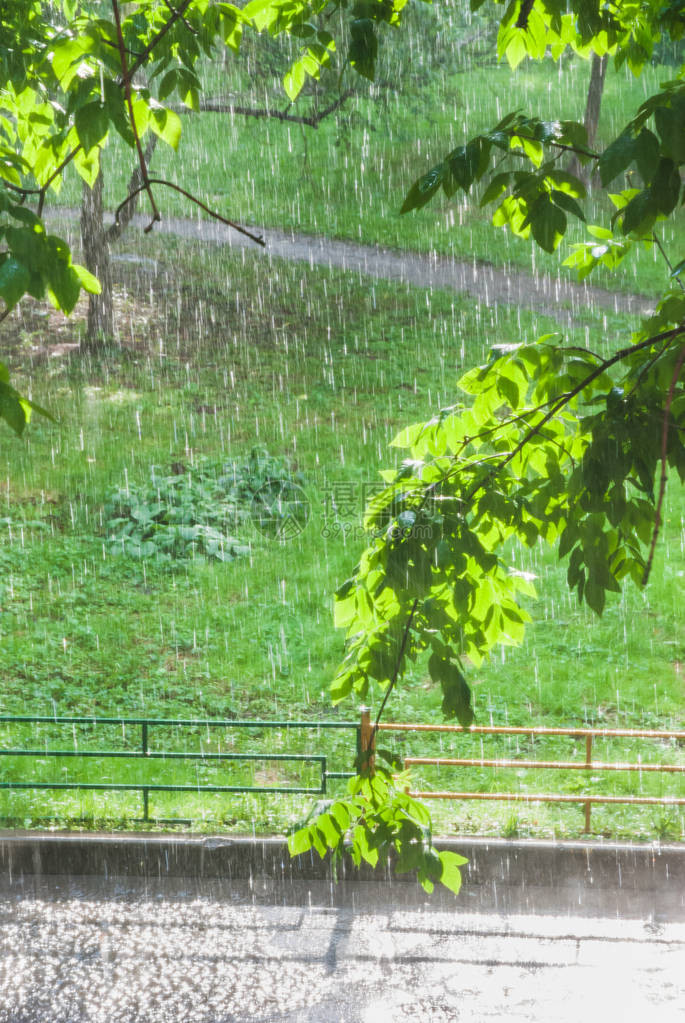 窗外的雨晒太阳或盲目雨阳光照耀人图片