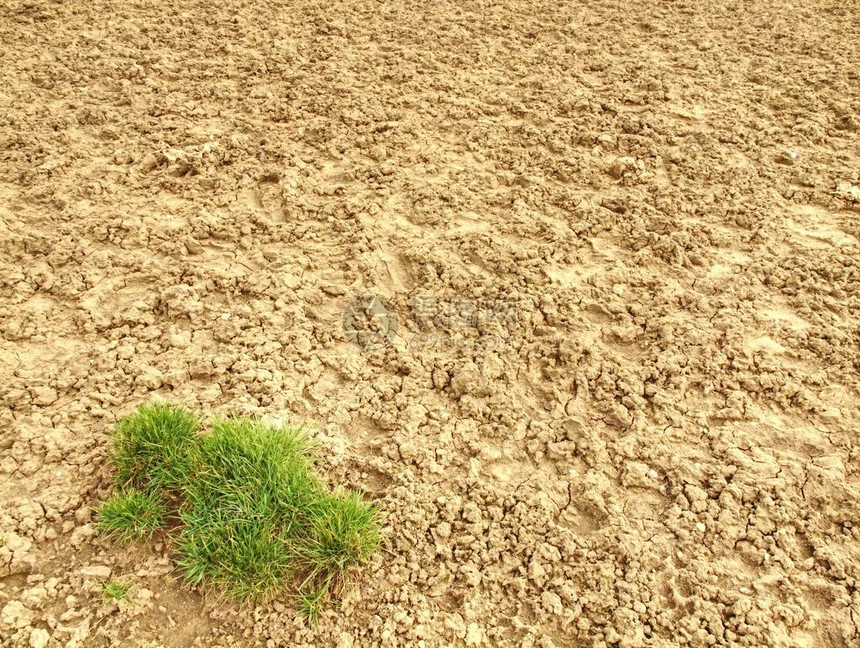 灰尘和石块沙漠上的干草土天然本底的干图片