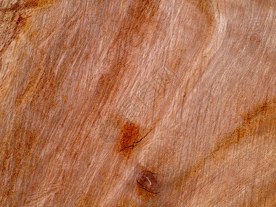 Eucalyptus木质背景的纹理表面Eucalyptu图片