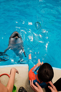 孩子们在蓝水中玩瓶鼻海豚图片