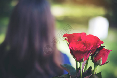 一个女人从红色玫瑰花中转过身有自图片