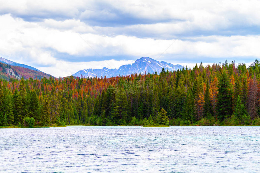 五湖谷是位于加拿大艾伯塔州冰田公园的贾斯珀公园一条受欢图片
