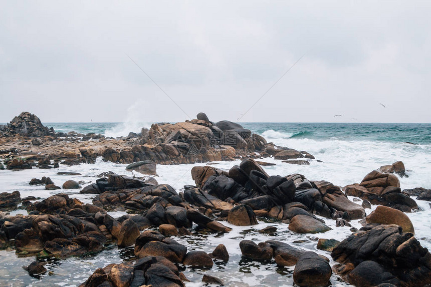 韩国江原道杨阳光进海滩的岩石图片