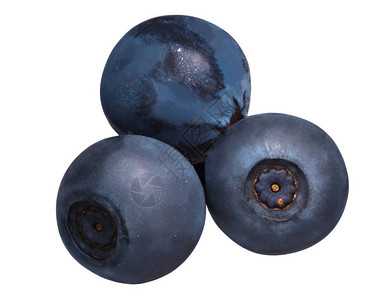 Bilberry或预型蓝莓Vacitimiummyrtillus水果图片