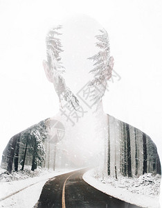 使用冬季森林和道路的雄头部图片