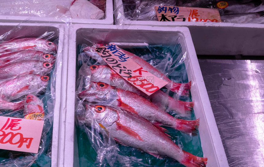 日本东京著名筑地鱼市场的海鲜选择Barracudakinmedaisplendidalfonsinoswordtipsquids图片