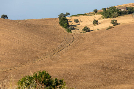 意大利Abruzzo滚动山丘上的图片