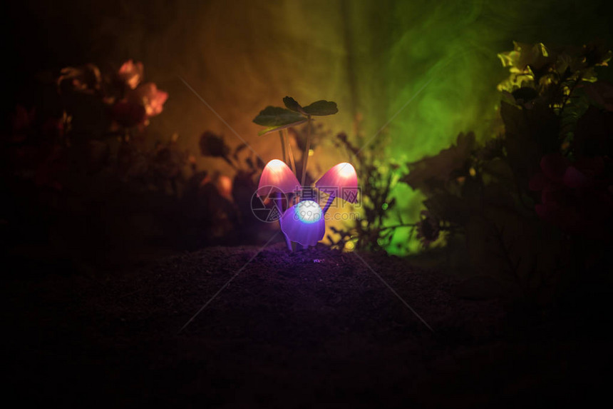 神秘黑暗森林特写中的三个幻想发光蘑菇神奇蘑菇或三个灵魂在化身森林中迷失的美丽微距镜头背景上有雾的仙女灯图片