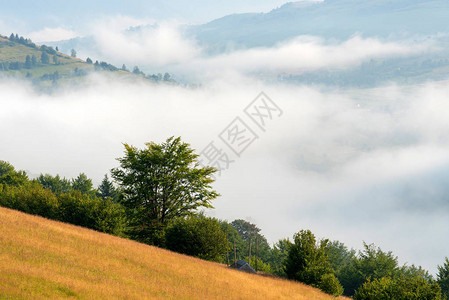 在夏天山的有雾的早晨图片