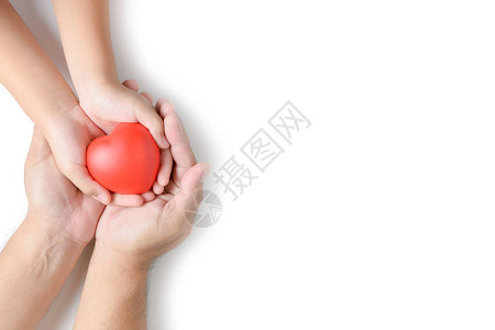 成人和儿童手握红色心脏图片
