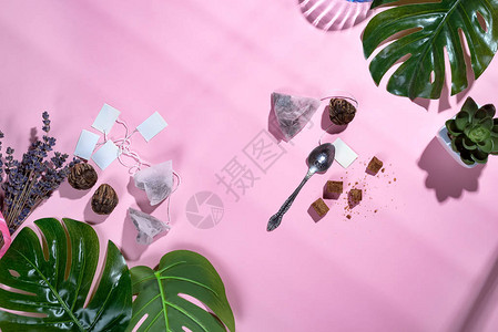 带有绿色热带叶和茶杯茶包和糖的创意框架图片