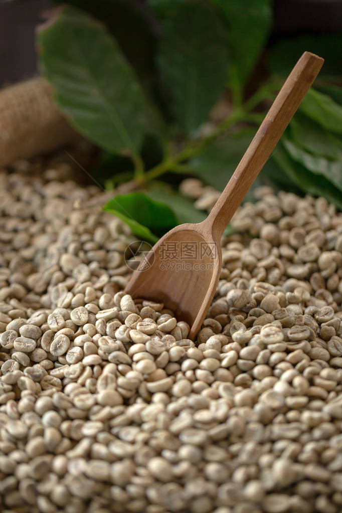 绿色咖啡豆采样器生图片