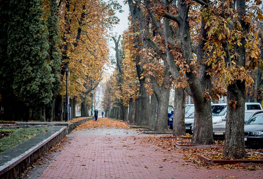 市公园秋后末单行车者在一条宽阔的小图片