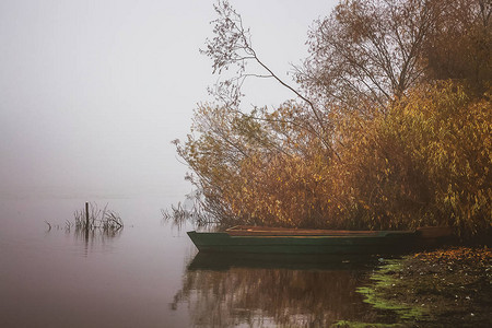 在森林边的河岸上的船湖边图片