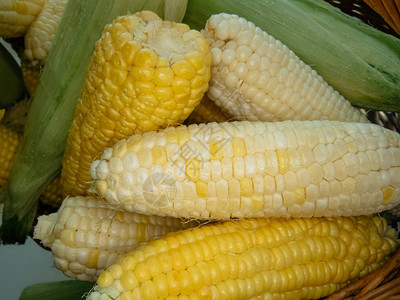 成熟的天然玉米芯放在篮子里健康饮食产品有机食品样式图片
