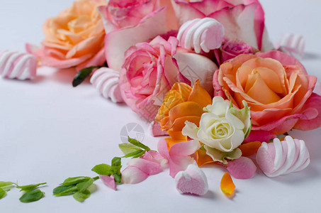 活玫瑰花框美丽的花岗背景春图片