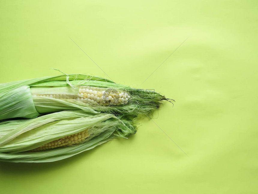 成熟的天然玉米芯健康饮食环保产品有机食品样式顶视图组对图片