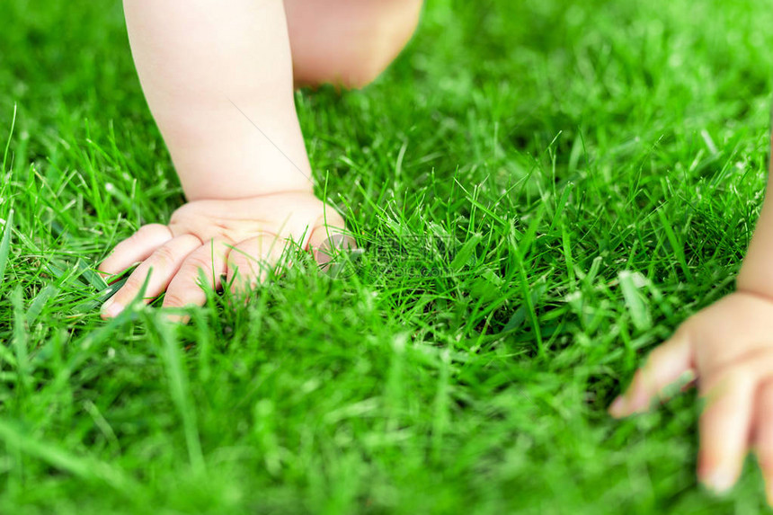 特写婴儿在绿草坪上啼叫细节婴儿手在公园里散步孩子发现和探索自然和的概念图片