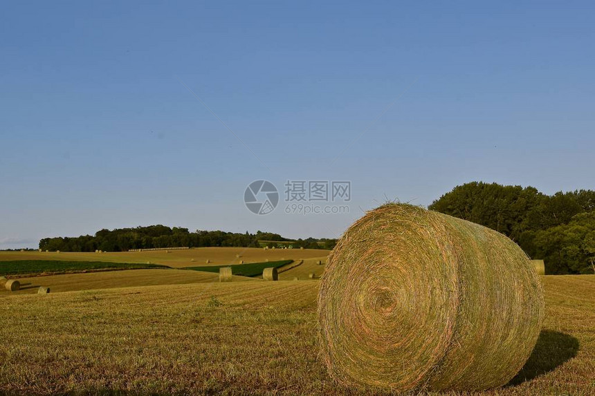 山地上散落着一整圈的光发干草远处有图片