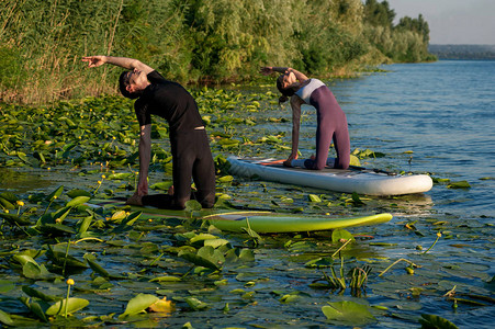 美丽的夫妇在明亮的背景下进行站立桨板瑜伽图片