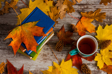 秋天一杯茶书彩色图片