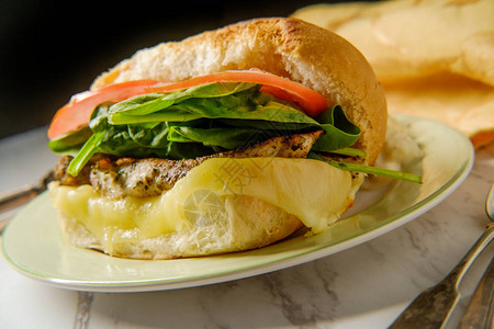 烤普罗卧干酪和鸡肉三明治配土豆沙拉图片