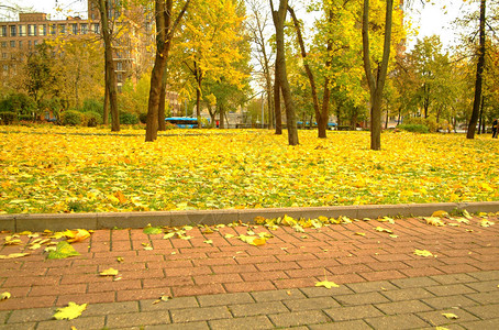 秋天在莫斯科公园的图片