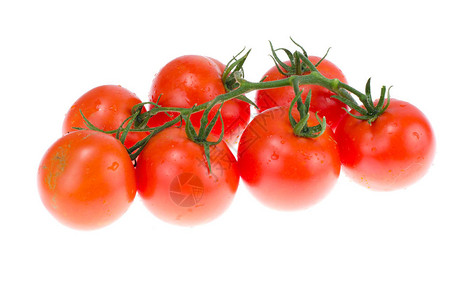 白色背景的成熟红西柿片组图片