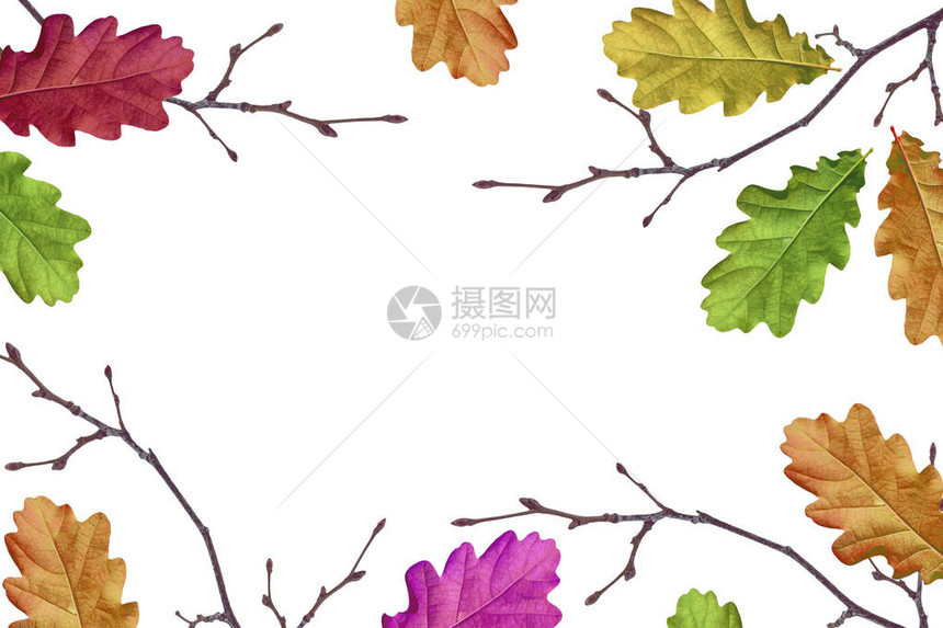 秋天背景有明亮的多色叶图片