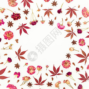 秋天框架有红落叶和干玫瑰在白色背景的花朵平坦的躺下图片