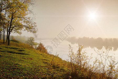 秋天风景日出在河流和森林图片