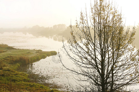 河边的米丝秋天清晨池图片
