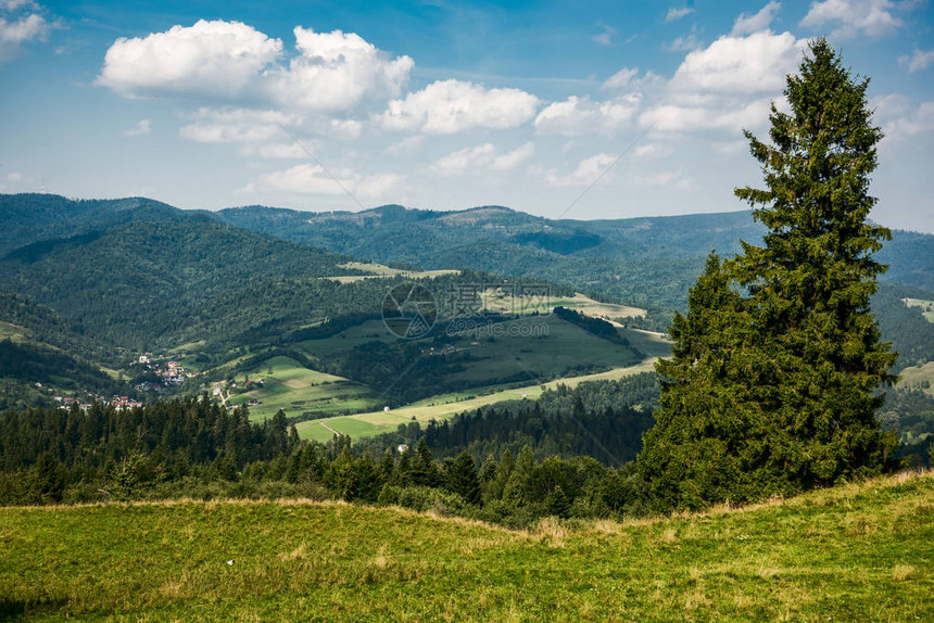 夏季时波兰皮尼山脉的全景图片