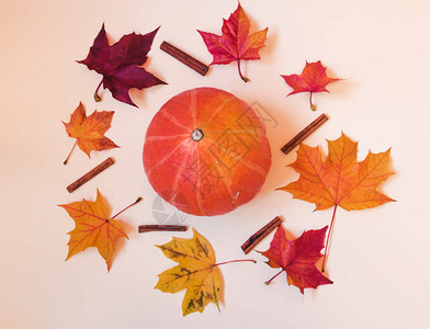 橙色南瓜肉桂和五颜六色的秋天枫叶图片
