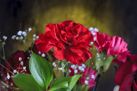 一束红色康乃馨的特写照片图片