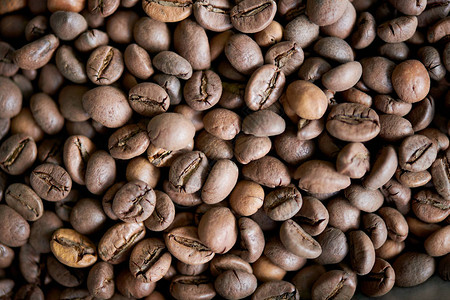 新烤的棕褐咖啡豆平均地铺放复制图片