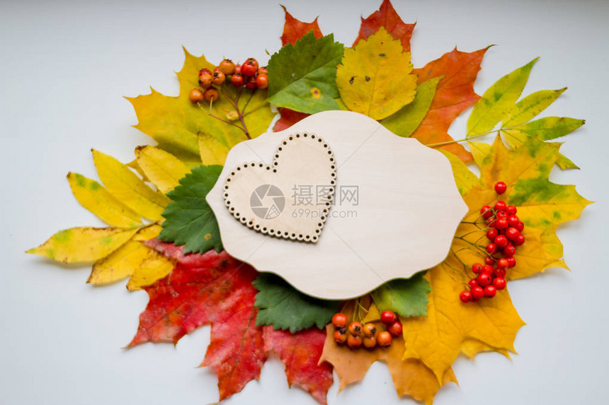 两颗心的秋叶爱秋天季节的象征秋天的心情季节销图片